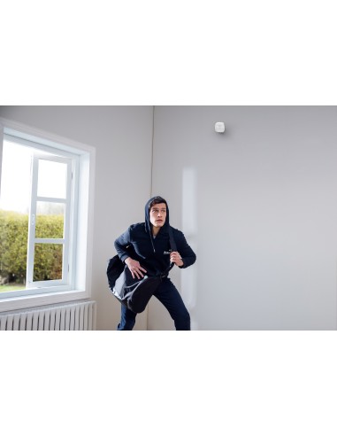 Security 5 piezas Smart Home Set, sistema de seguridad inteligente para el hogar, con cerradura de puerta, sensor de movimiento