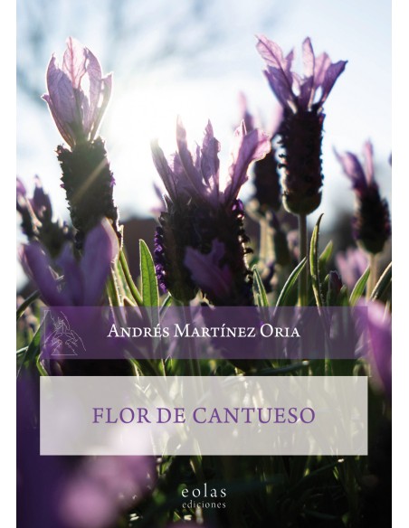 Flor de cantueso
