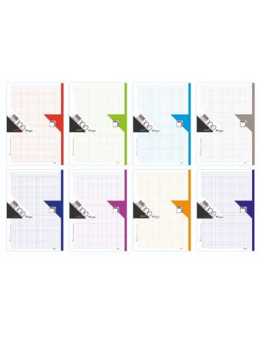 RECAMBIO DE COLORES  90 GRS. A-4 (210X297MM.) 120 HOJAS CUADRÍCULA 5X5 + GRECA 5 COLORES PACSA 21180