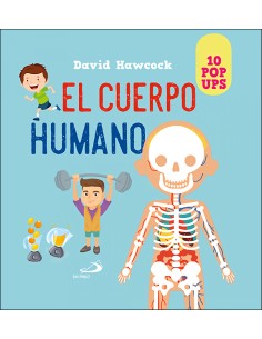 Cuerpo humano