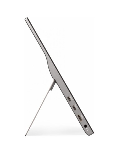 TD1655 pantalla para PC 39,6 cm (15.6") 1920 x 1080 Pixeles Full HD LED Pantalla táctil Multi-usuario Negro, Plata