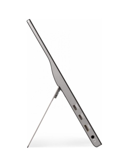 TD1655 pantalla para PC 39,6 cm (15.6") 1920 x 1080 Pixeles Full HD LED Pantalla táctil Multi-usuario Negro, Plata