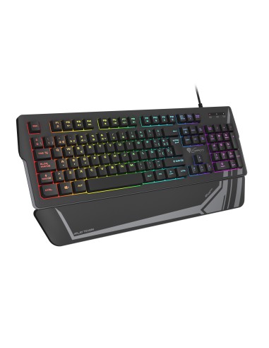 Rhod 350 RGB teclado Juego USB QWERTY Español Negro