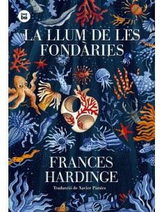 La llum de les fondaries