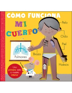 Como funciona mi cuerpo
