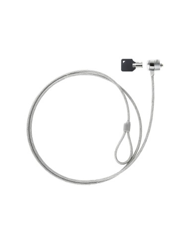 TQCLKC0025 cable antirrobo Plata 1,5 m