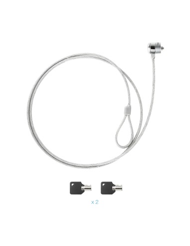 TQCLKC0025 cable antirrobo Plata 1,5 m