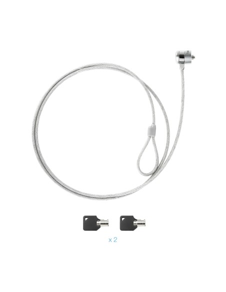 TQCLKC0025 cable antirrobo Plata 1,5 m