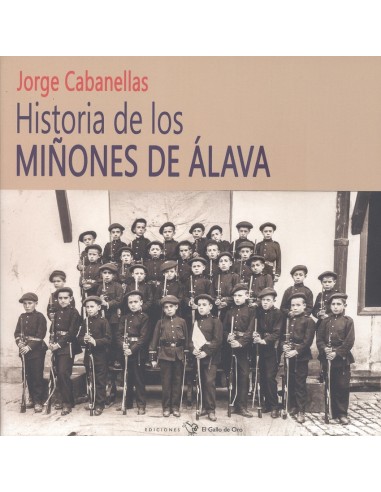 HISTORIA DE LOS MINONES DE ALAVA