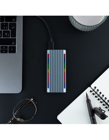 Shinobi Caja externa para unidad de estado sólido (SSD) Gris M.2