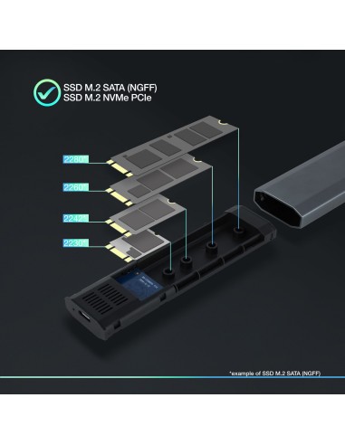 Shura Caja externa para unidad de estado sólido (SSD) Gris M.2