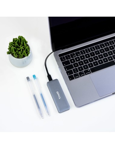 TQE-2281G caja para disco duro externo Caja externa para unidad de estado sólido (SSD) Gris M.2