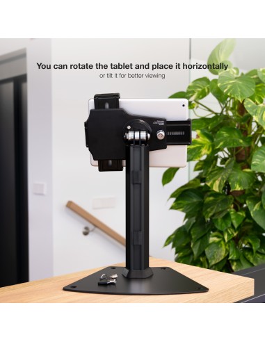 TQTDS0811 soporte de seguridad para tabletas 26,7 cm (10.5") Negro