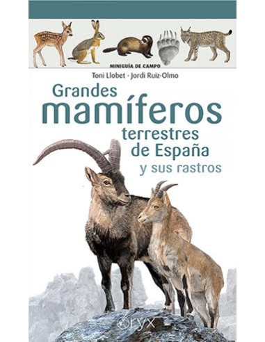 Grandes mamiferos terrestres de Espana y sus rastros