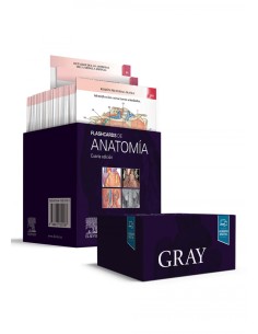 Gray Flashcards de Anatomia
