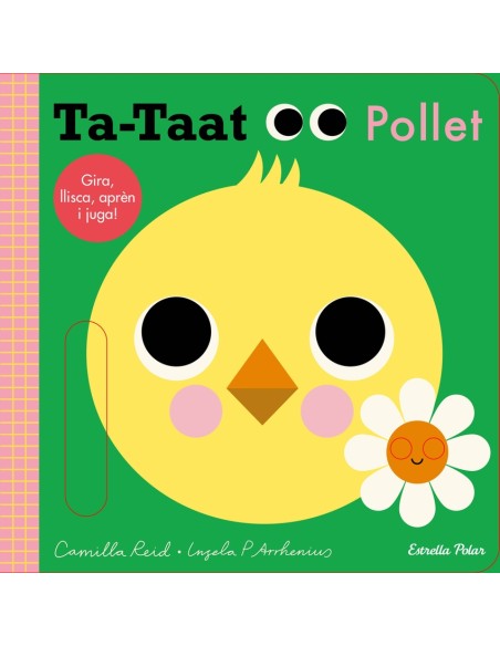 Ta taat Pollet