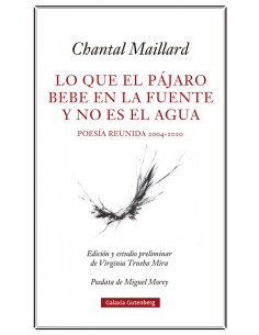 Lo que el pajaro bebe en la fuente y no es el agua