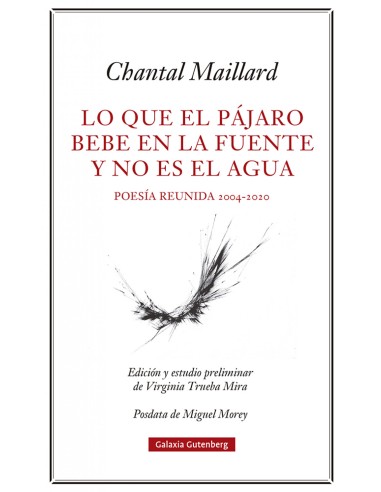 Lo que el pajaro bebe en la fuente y no es el agua