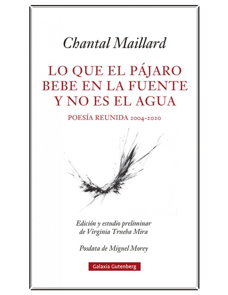 Lo que el pajaro bebe en la fuente y no es el agua