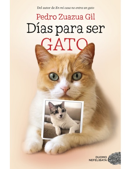 Dias para ser gato