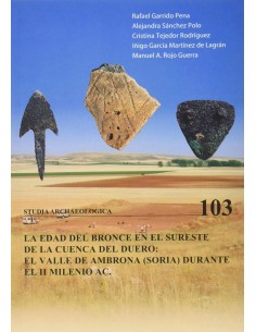 EDAD DEL BRONCE EN EL SURESTE DE LA CUENCA DEL DUERO EL EL VALLE DE AMBRONA S