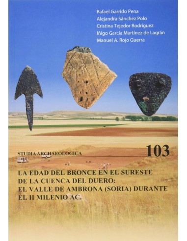 EDAD DEL BRONCE EN EL SURESTE DE LA CUENCA DEL DUERO EL EL VALLE DE AMBRONA S