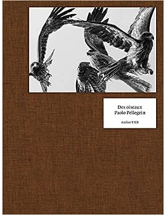 DES OISEAUX PAOLO PELLEGRINI