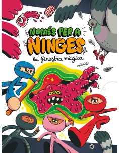 C NPN3 La finestra magica