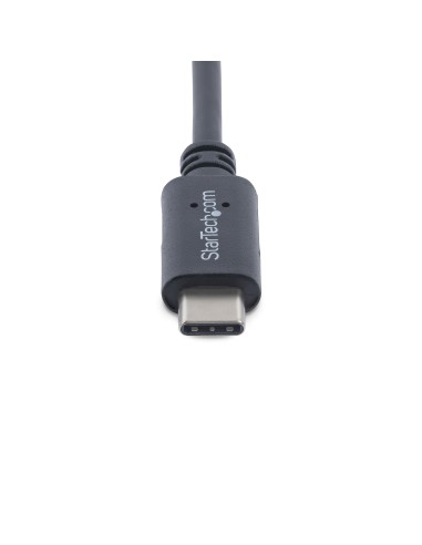 Cable USB-C de 2m - Type-C - USB 2.0 - Macho a Macho