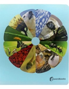 Los ciclos de la vida