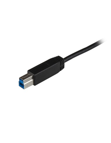 USB31CB1M cable USB 1 m USB 3.2 Gen 2 (3.1 Gen 2) USB C USB B Negro