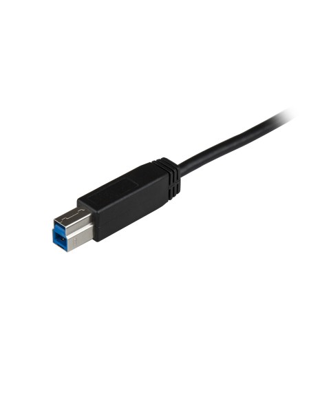 USB31CB1M cable USB 1 m USB 3.2 Gen 2 (3.1 Gen 2) USB C USB B Negro