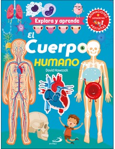 El cuerpo humano
