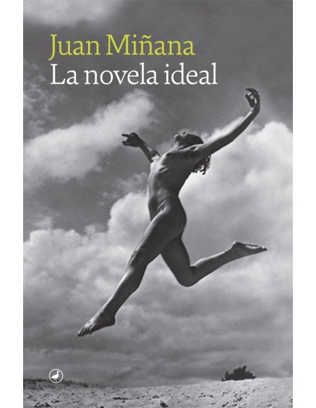 La novela ideal