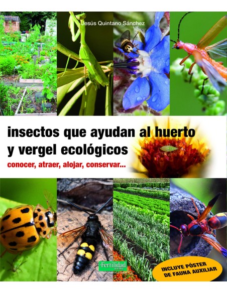Insectos que ayudan al huerto y vergel ecologicos