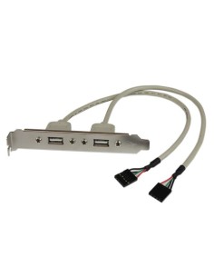 Adaptador de Placa USB A Hembra de 2 puertos 2