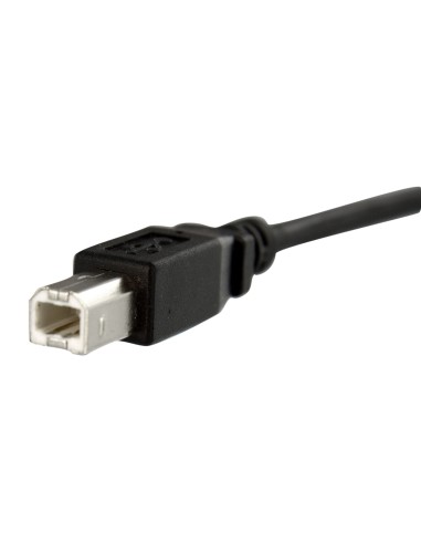 Cable USB de Montaje en Panel USB B a USB B de 30cm - Hembra a Macho