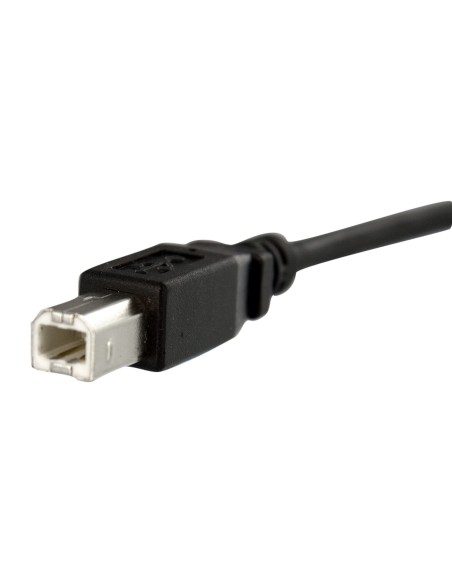 Cable USB de Montaje en Panel USB B a USB B de 30cm - Hembra a Macho