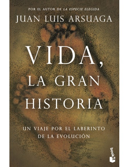 Vida la gran historia
