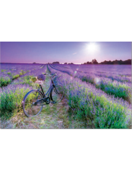 BICICLETA EN CAMPO DE LAVANDA PUZZLE 1000 PIEZAS