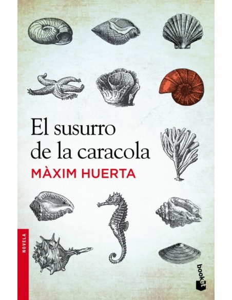 El susurro de la caracola