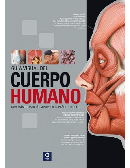 GUIA VISUAL DEL CUERPO HUMANO