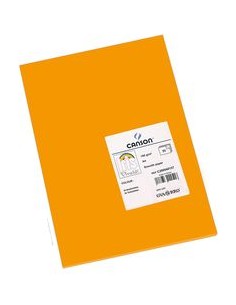 Paq 50 cartulinas a4 mandarina iris