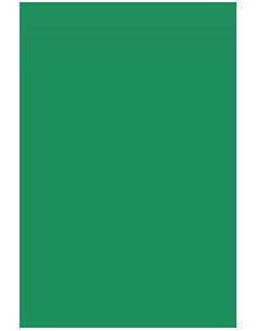 Paq 50 cartulinas a4 verde abeto iris