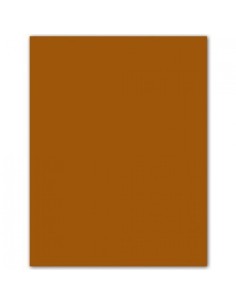 Paq 50 cartulinas a4 cuero iris