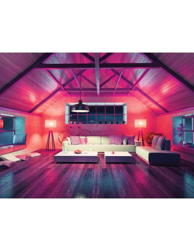 Cave Bombilla inteligente Wi-Fi 8 W