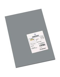 Paq 50 cartulinas a4 plomo iris