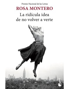La ridicula idea de no volver a verte