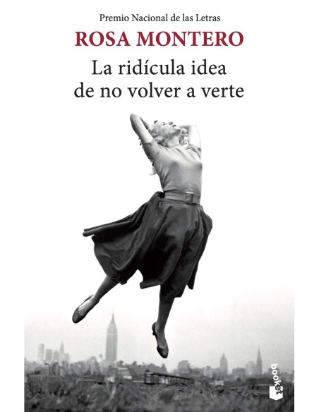 La ridicula idea de no volver a verte