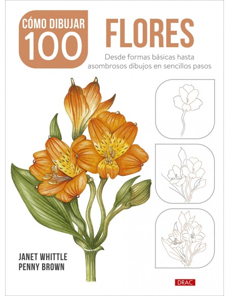 Como dibujar 100 flores